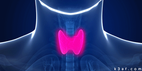 thyroid.gif